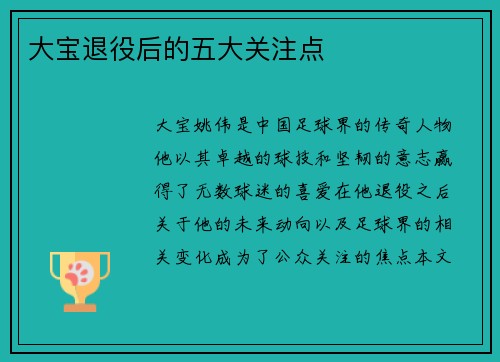 大宝退役后的五大关注点