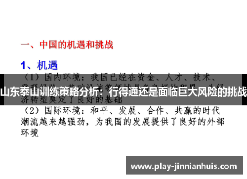 山东泰山训练策略分析：行得通还是面临巨大风险的挑战