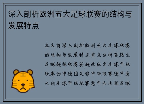 深入剖析欧洲五大足球联赛的结构与发展特点