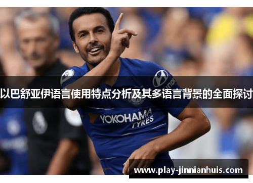 以巴舒亚伊语言使用特点分析及其多语言背景的全面探讨 以巴舒亚伊语言使用特点分析及其多语言背景的全面探讨